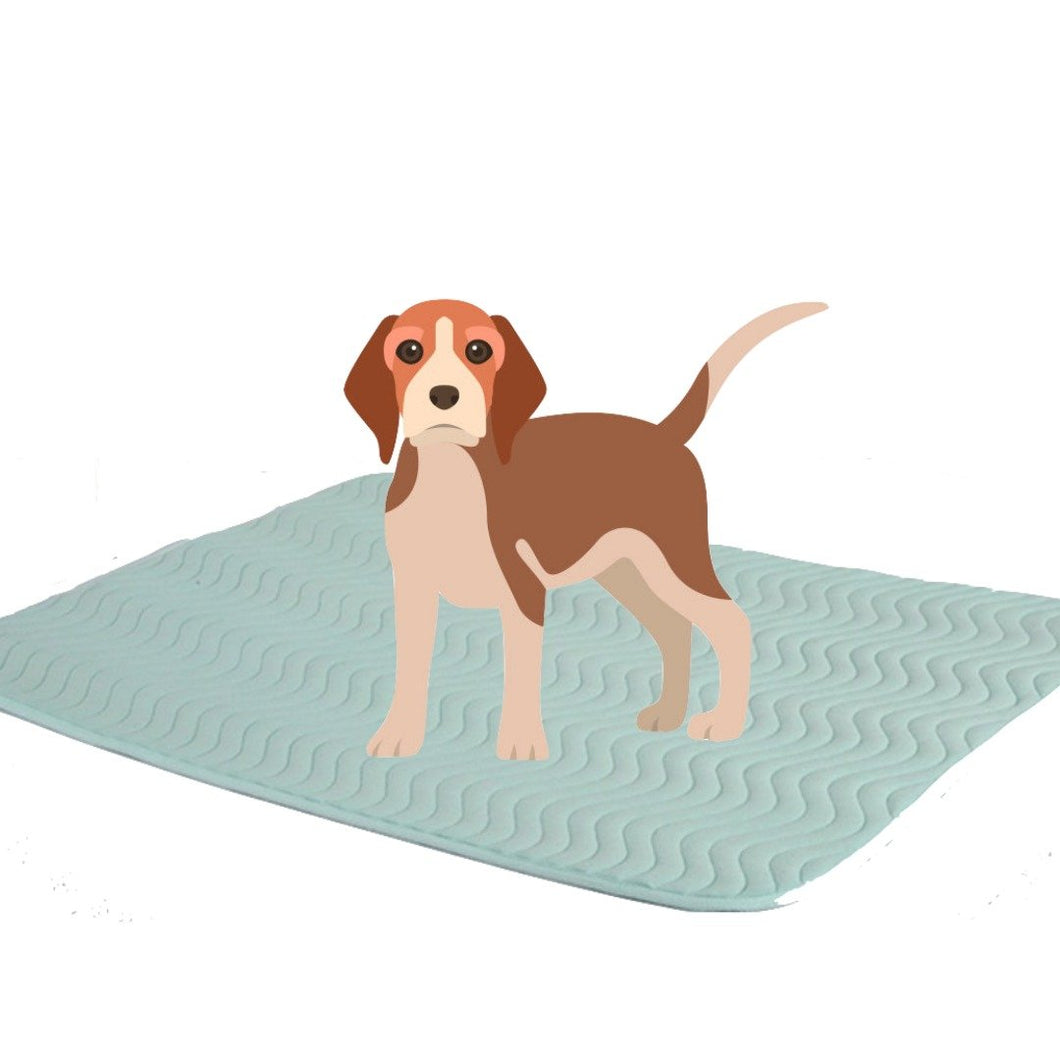 Caretex Abso Köpekler için Sıvı Geçirmez,Yıkanabilir Çiş Pedi